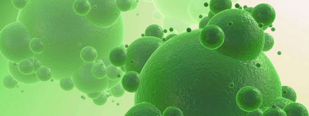 Frequently Asked Questions | Ecochem Australia