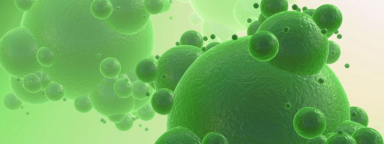 Frequently Asked Questions | Ecochem Australia